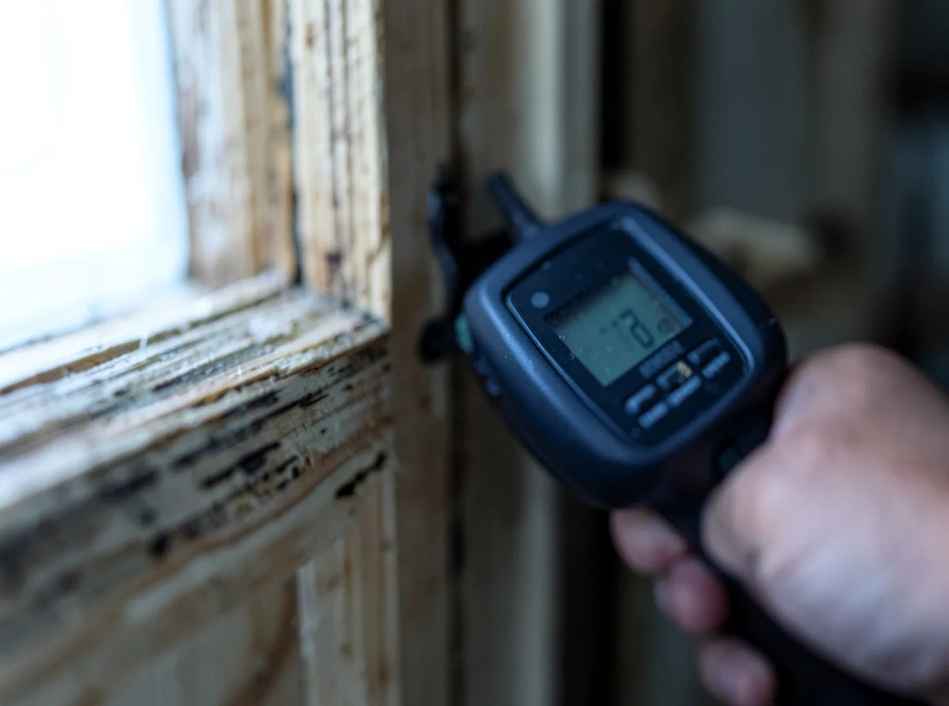 Moisture Inspection And Documentation in Vaughn, NM
